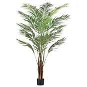 Areca Palm 6′