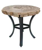 Petrified Wood Side Table w/ Iron Base