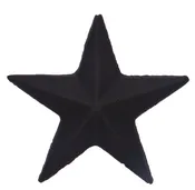 2-1/2" Nail-In Star