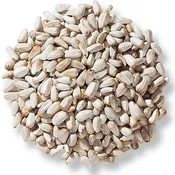 #1017 Aria Raw Unsalted Safflower Seeds (In Shell) - Parrot Treat & Training Reward - 12oz