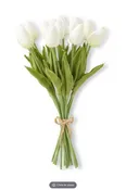 13" White Mini Tulip Bundle