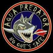 Die Struck Challenge Coins