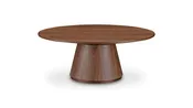 Angel Coffee Table