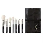Basic 10 Pc Brush Set (BkSLN) [HC1359]