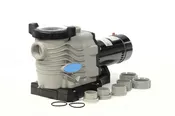 Blue Torrent 1.5HP 2 Speed Pump