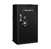AMERICAN SECURITY BFII6636: GUN SAFE