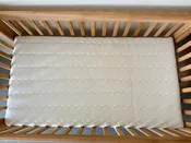 Crib Organic Latex Mattress