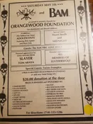 $10 PUNK FLYER - ADOLESCENTS MIDNIGHT ALL