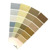 COLOR CHIPS