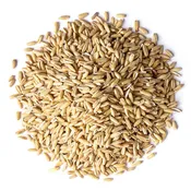 #1015 Aria Nature's Raw Unsalted Oat Groats In Shell - Parrot Food & Enrichment Grain - 1lb