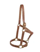 1" Horse Halter H07