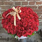 100 Red Rose Luxury Box - Buzzy Bee Flowers