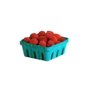 1/2 PINT PULP BASKET