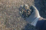 Aggregate Crushed Gravel - 1/4" - 3/8 Clean