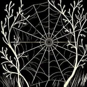 Arachne’s Garden™