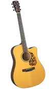 Blueridge BR-140CE