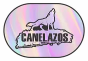 Holographic Decals