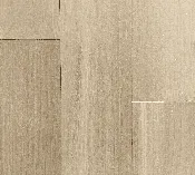 BV0008