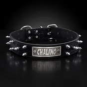 1.5" Wide Personalized Spiked Italian Leather Dog Collar | Custom Name Plate