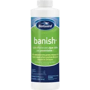 BioGuard Banish Algaecide 1 Quart