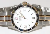 Wenger Swiss Army Alpine Two Tone Watch