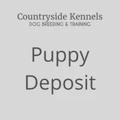 Deposit