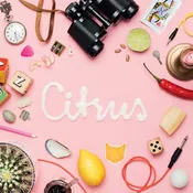 Animal Daydream - Citrus EP 7"