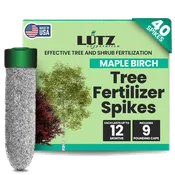 Maple-Birch Spike
