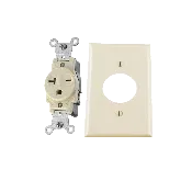 Receptacle 125V