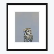 11 x 14 Limited Edition Art Print - An Unexpected And Extremely Heated Argument With Her Amazon Echo...