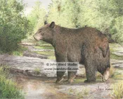 Black Bear Creek Crossing
