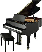 Essex Grand Piano EGP-173