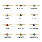 14K Gold Filled +™ Birthstone Stacking Ring  / ZRJ1001GF