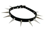 1/2 in Spike collar