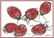 AN831 Ladybugs Notecard