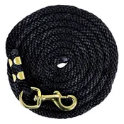10' Poly Lead–Black