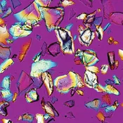 Cargille Comminuted Mineral Reference Set