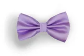 #111 Bow Tie