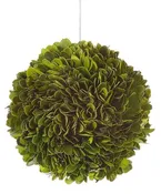 5" Boxwood Ball #1PG3121GR00
