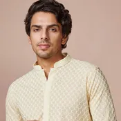 Biscuit Chikankari Cotton Kurta