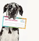 Gift Certificate