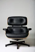 Eames Spa, Repair, and Restoration Service