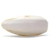 Cuttlebone Large Size 36pcs