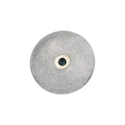 Diamond Disk, 51 mm (2 in.) 300 Grit