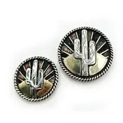 Arizona Sunset Conchos