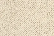 Everest Carpet