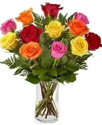 BRIGHT MIXED ROSES