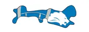 Detroit Lions Football Inspired Cranial Helmet Decal