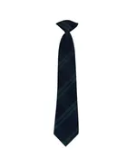 79 Plaid Clip-On Tie