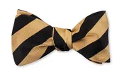 Black and Gold Striped Bow Tie - B631